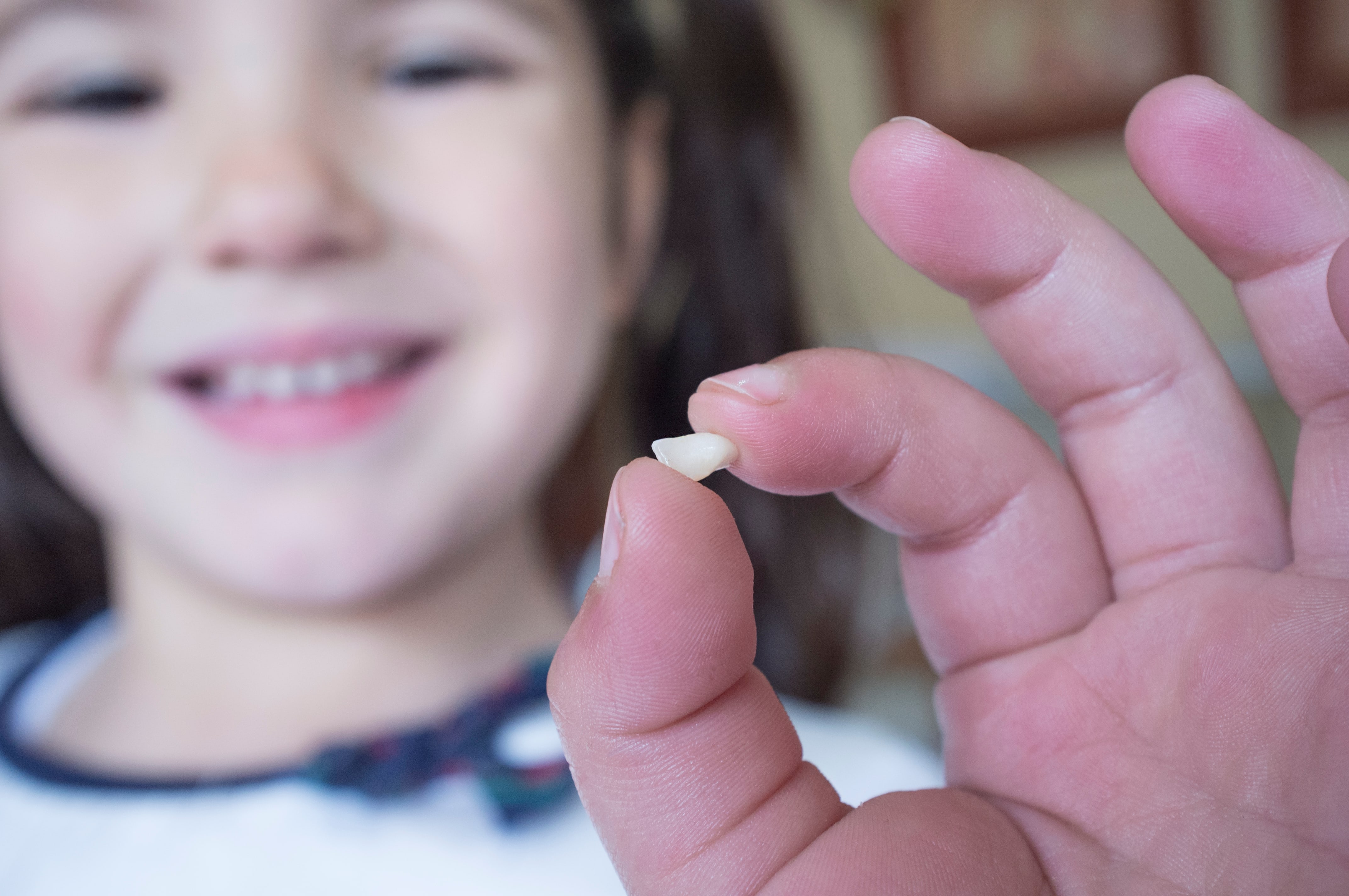 how-children-s-teeth-erupt-and-fall-out-smiling-kids-pediatric